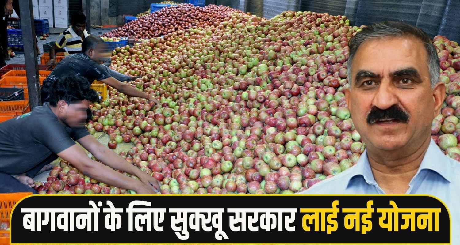 Himachal-apple-gardner