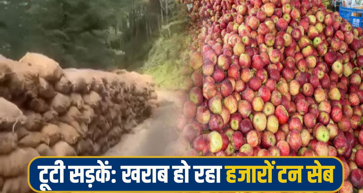 हिमाचल में बारिश बनी अभिशाप