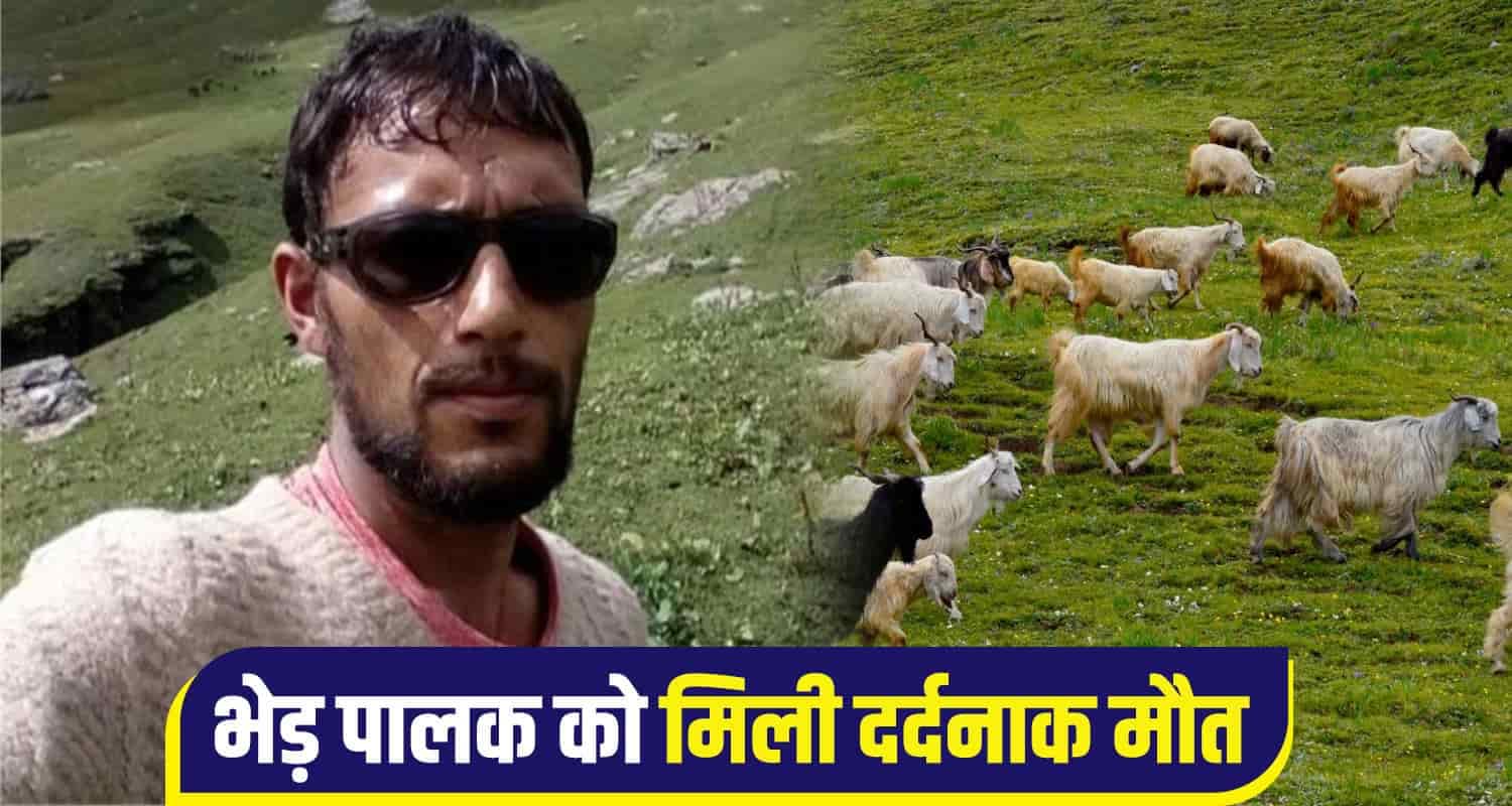 Himachal Kullu News