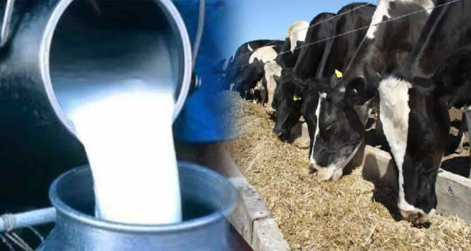 Himachal Milk Production