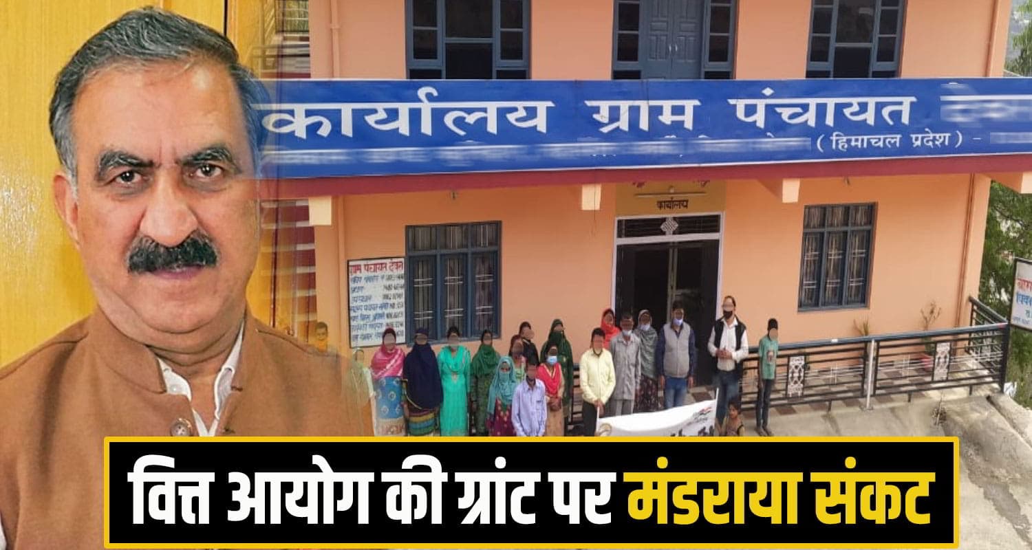 himachal panchyat Election