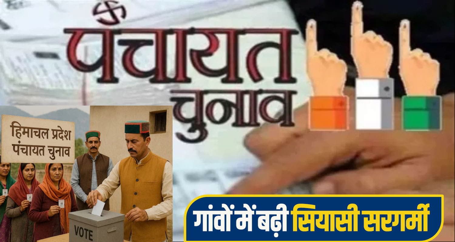 himachal panchyat election