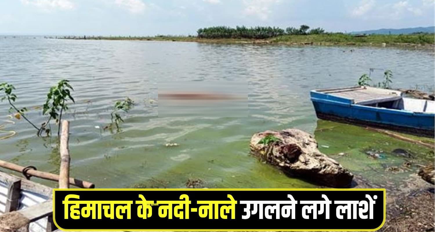 Himachal Pong lake
