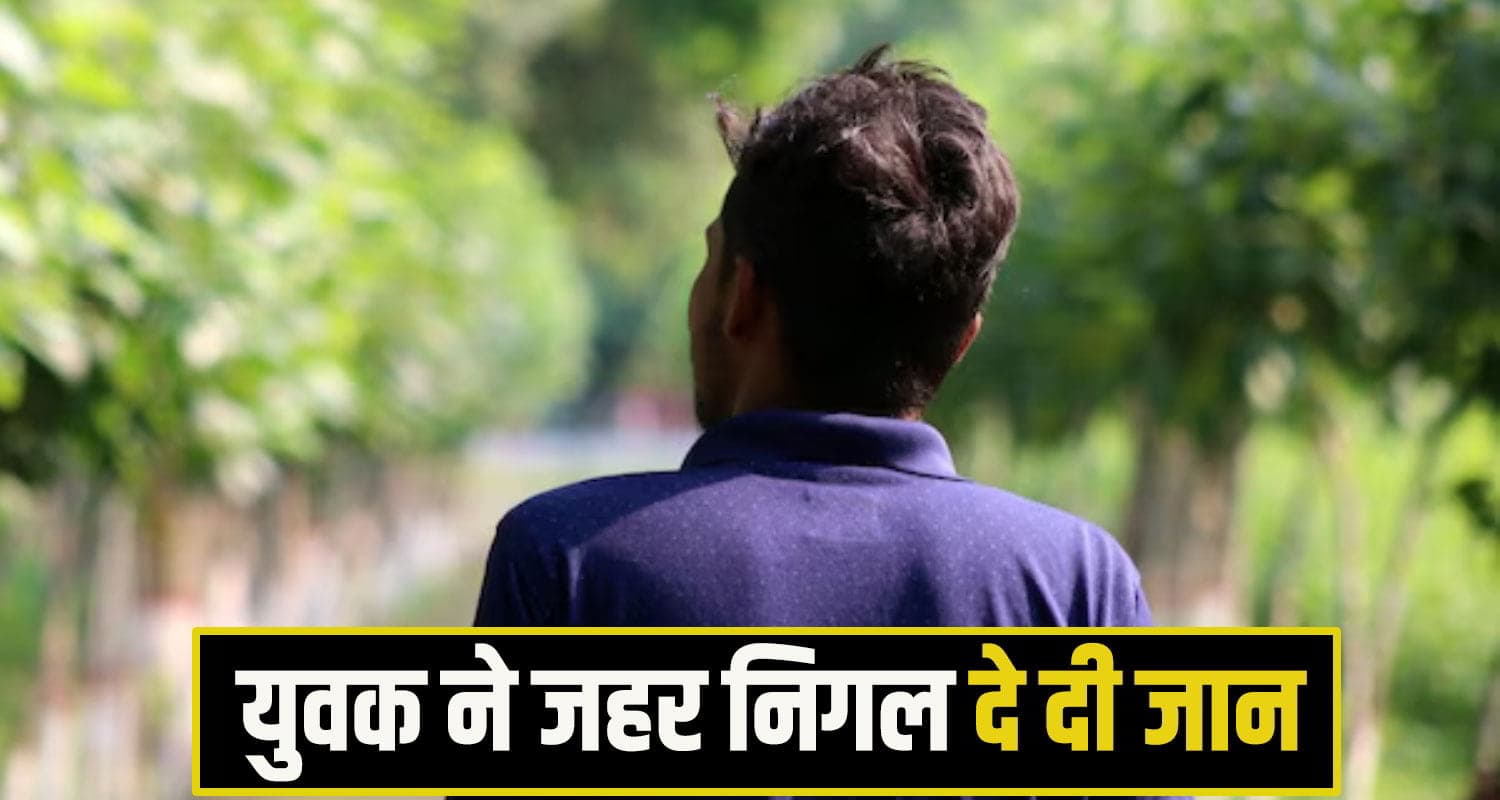 himachal shimla News