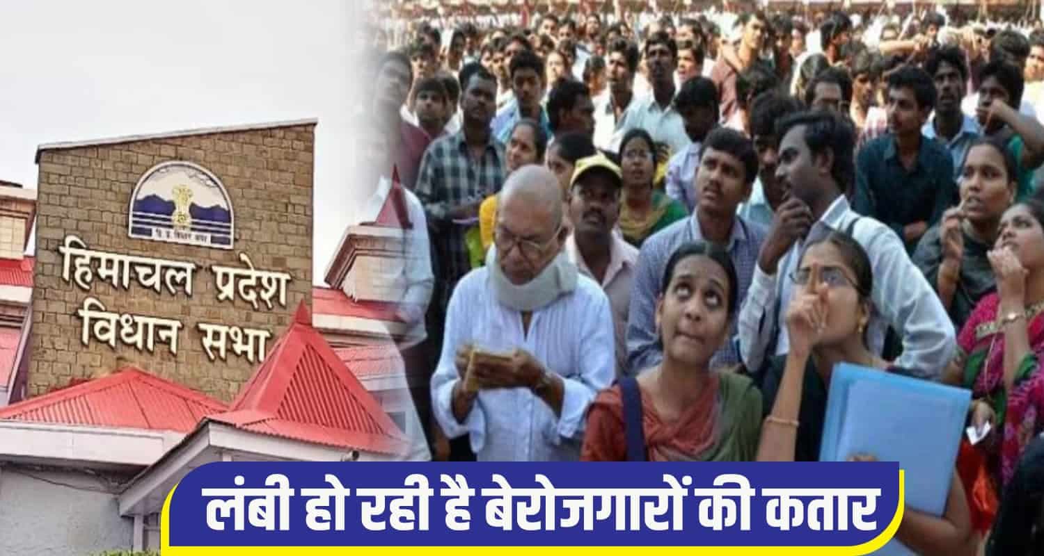 himachal  vidhansabha unemployed