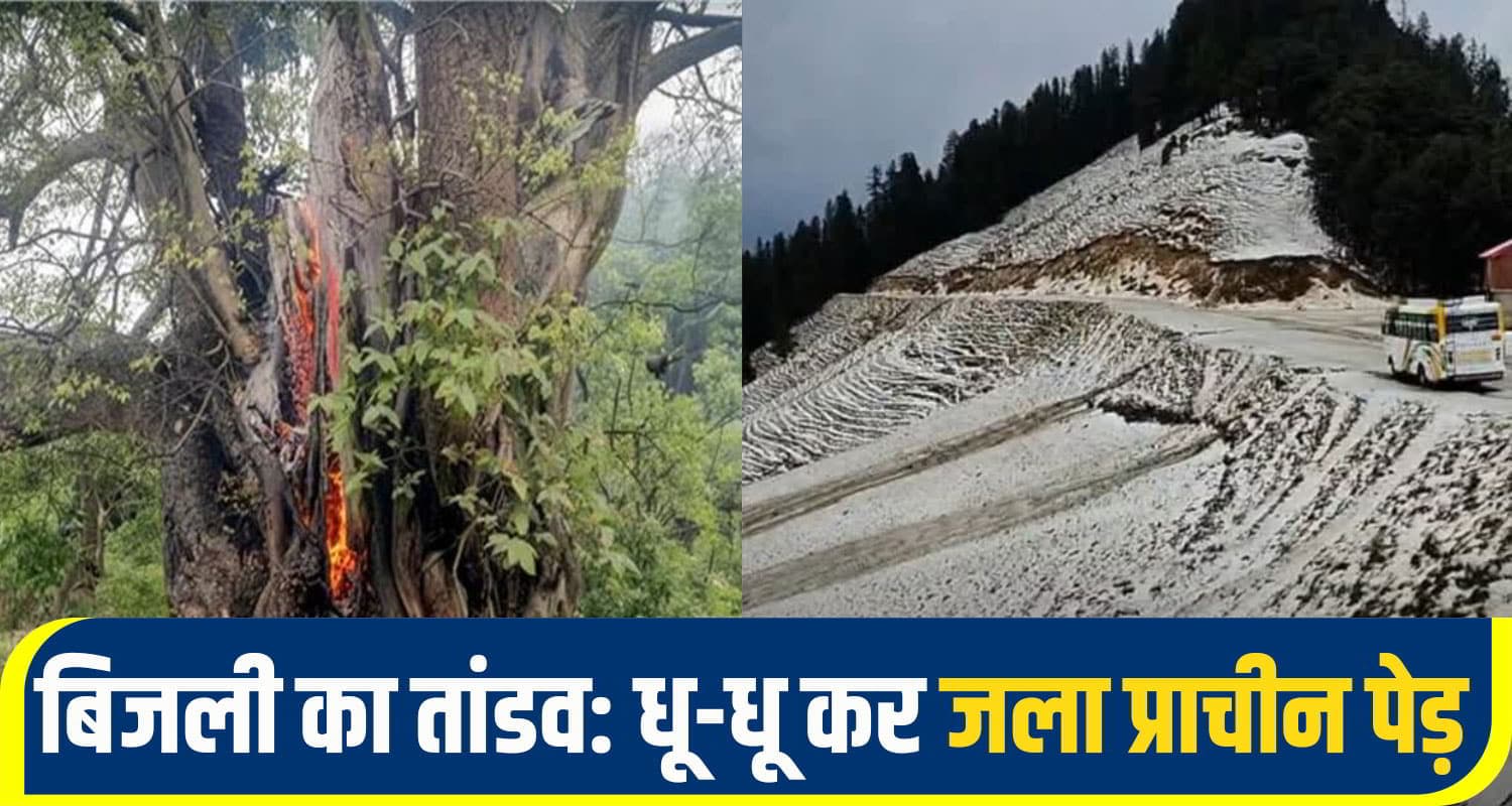himachal weather alert