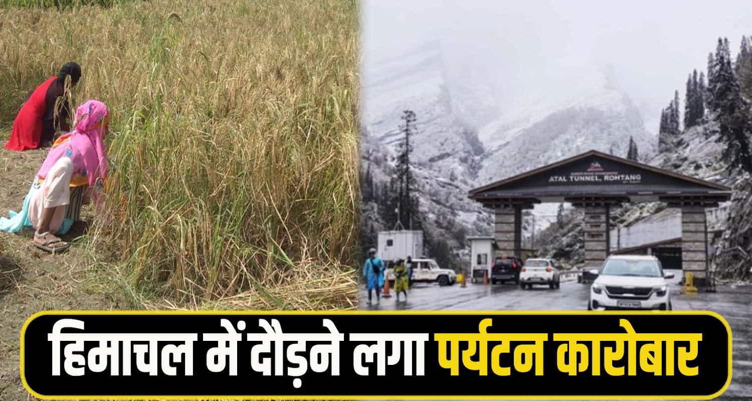 Farmar himachal