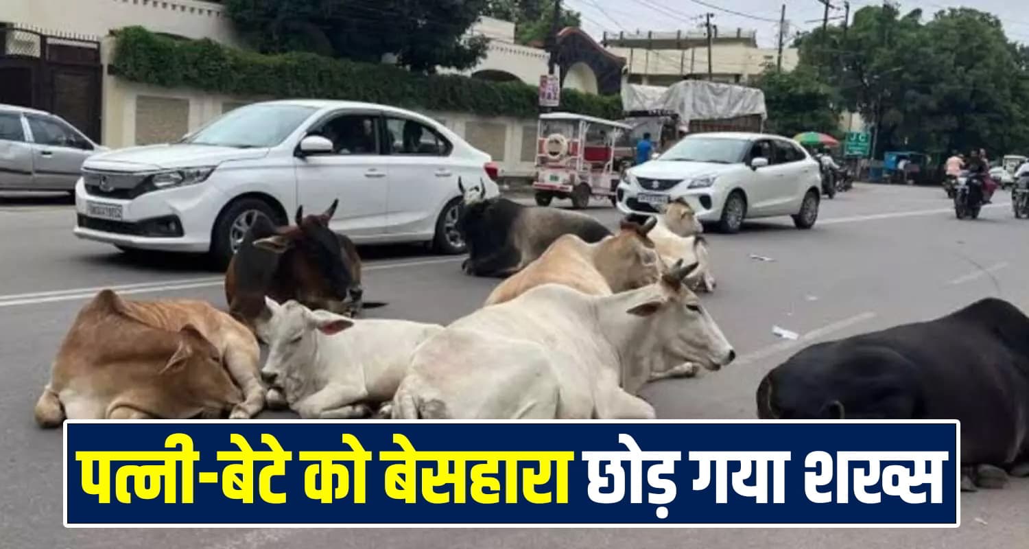 Himachal News