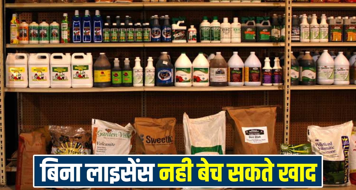 हिमाचल: गांव में खोले बीज व खाद की दुकान, होगी बंपर कमाई; जानें कैसे करें अप्लाई Himachal News