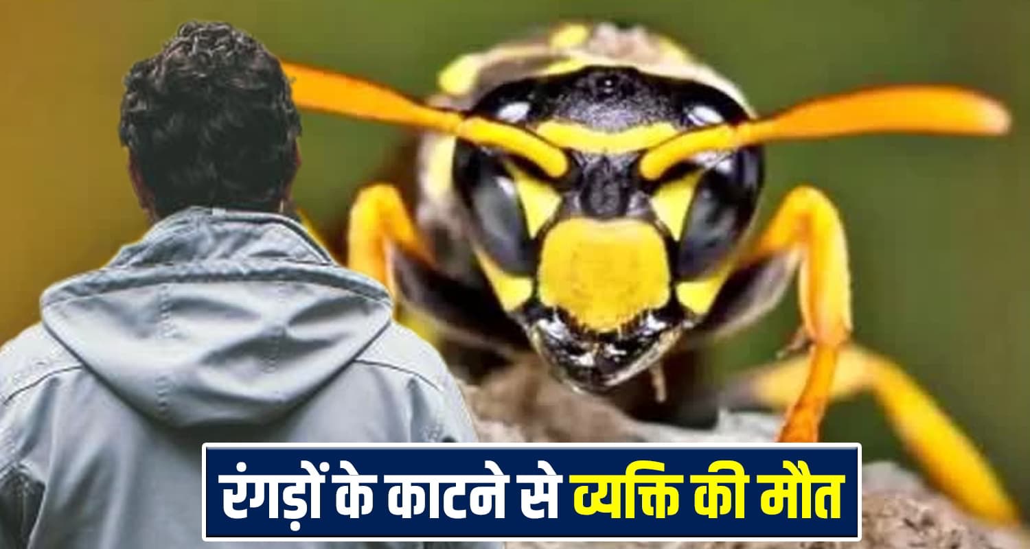 हिमाचल: घास काटने गया था वीर, रंगड़ों ने छीन ली जिंदगी; पत्नी के हवाले छोड़ गया 3 बच्चे Himachal News