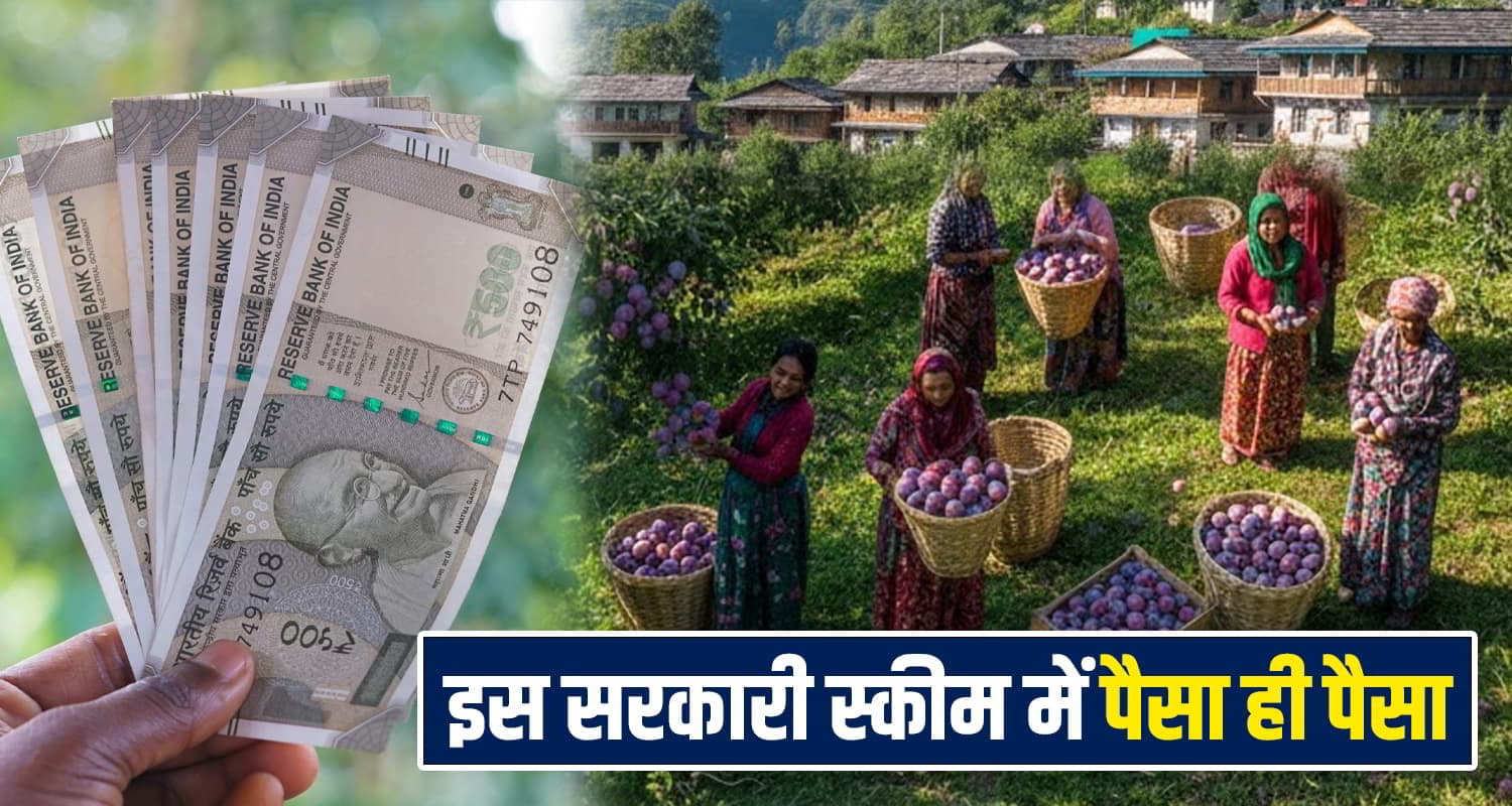 हिमाचल के इस गांव ने कर दिया कमाल- यहां के किसान बन गए लखपति, मगर कैसे- जानिए Himachal Government Schemes