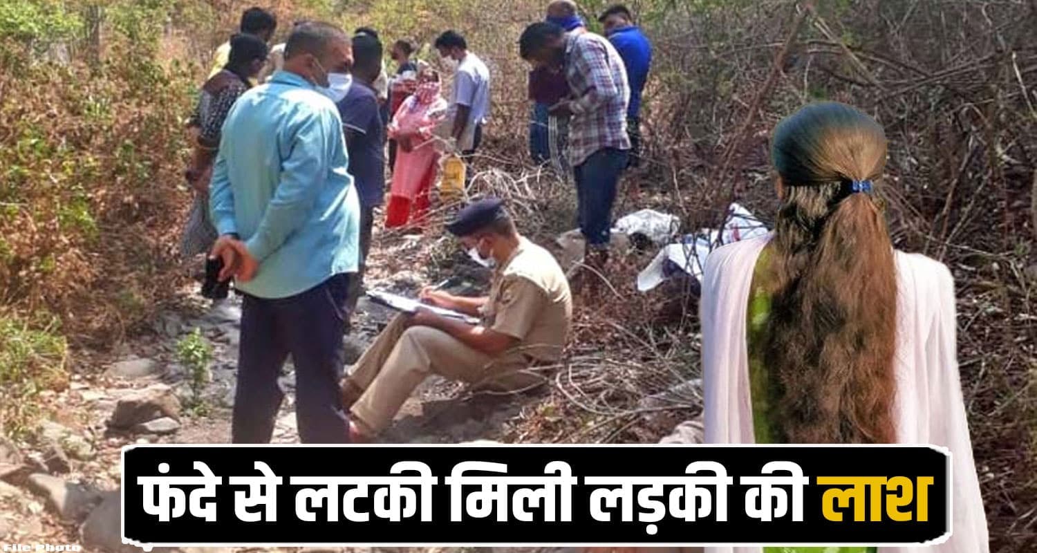 Shimla News