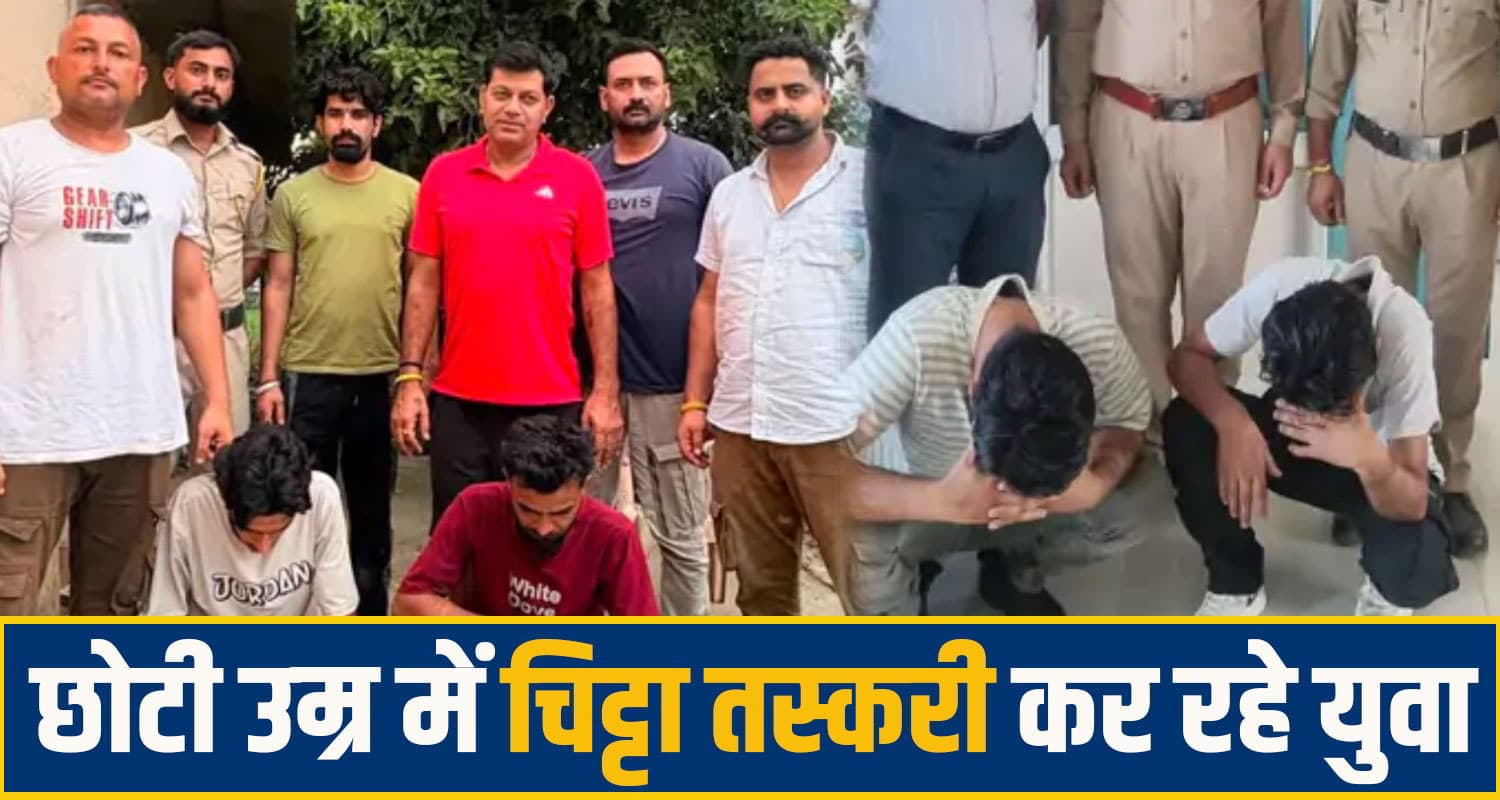 kangra chitta News