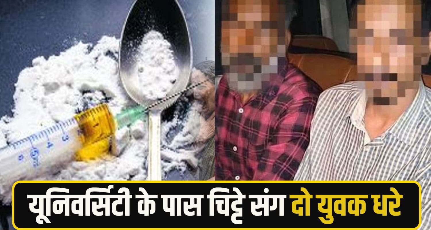 kangra chitta News