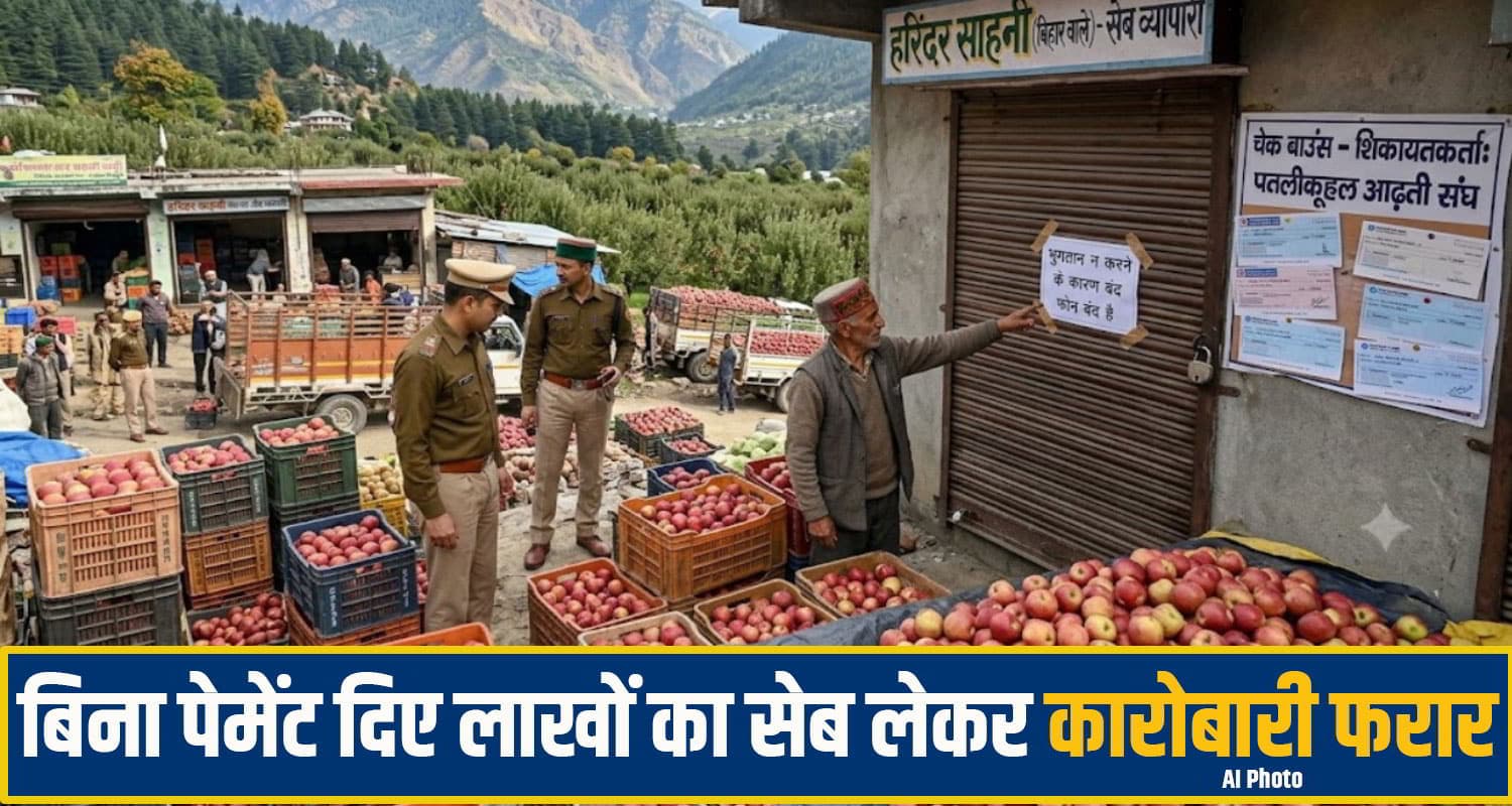 kullu apple trader fraud