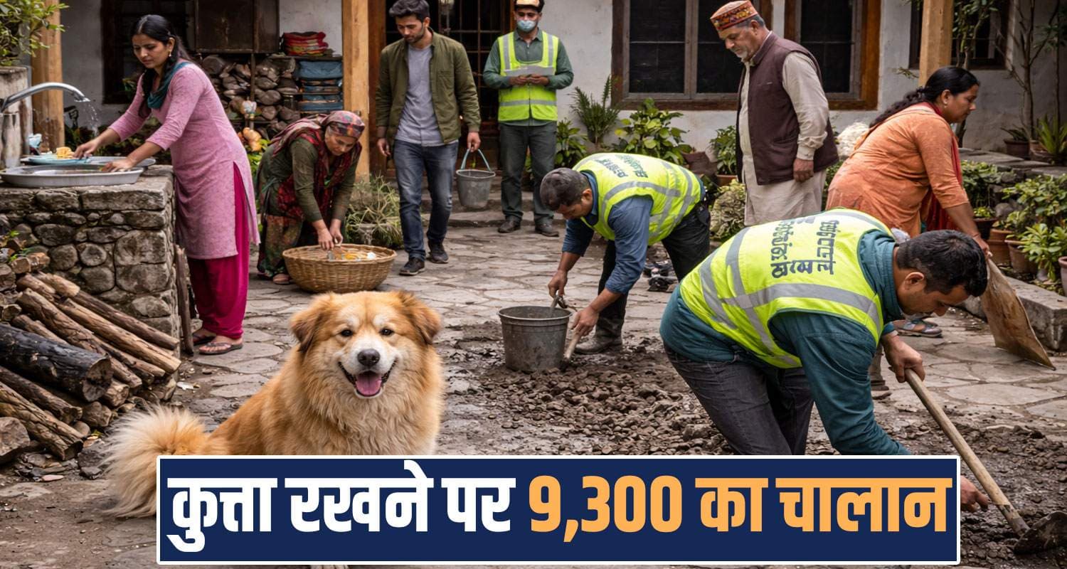 pet dog registration nagar nigam fine mandi himachal pradesh