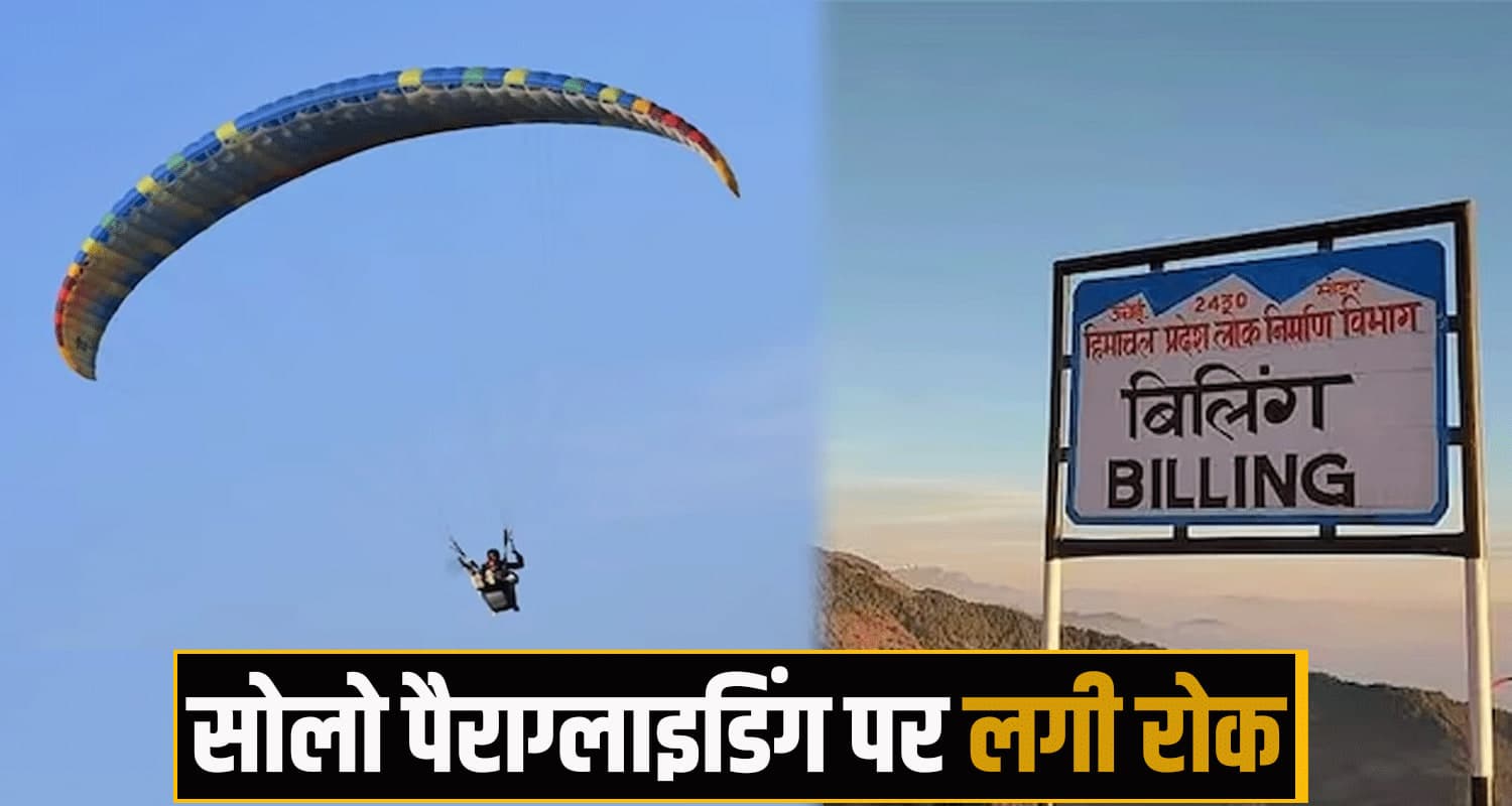 Paragliding news