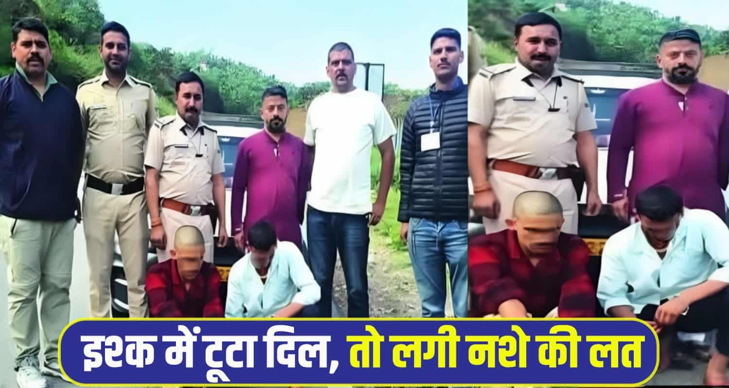 Mandi Chitta News
