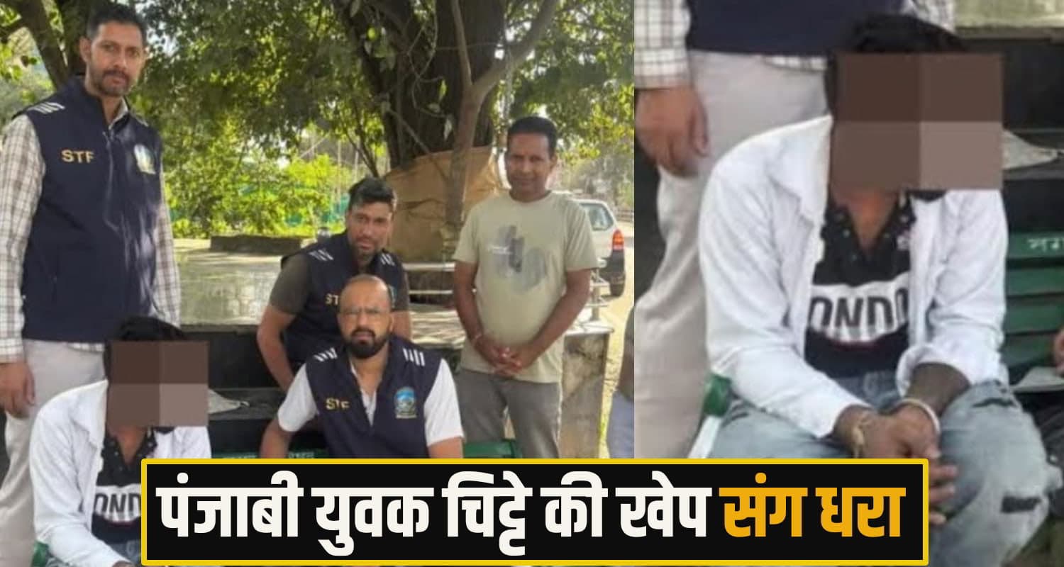 mandi chitta News