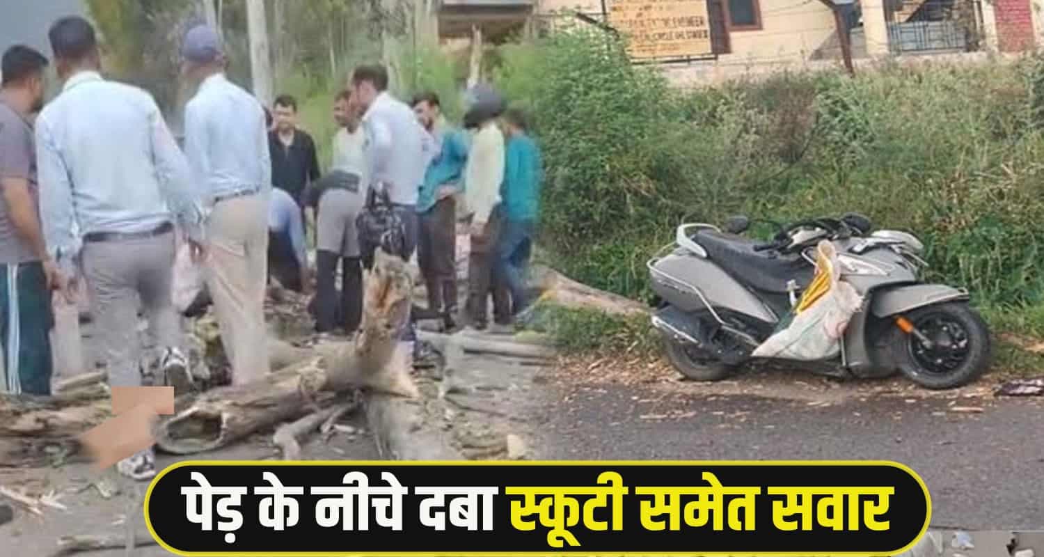 Mandi Scooty Rider