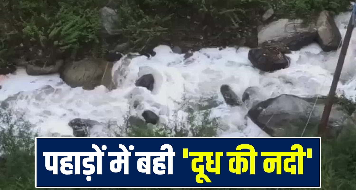 Kullu Milk News