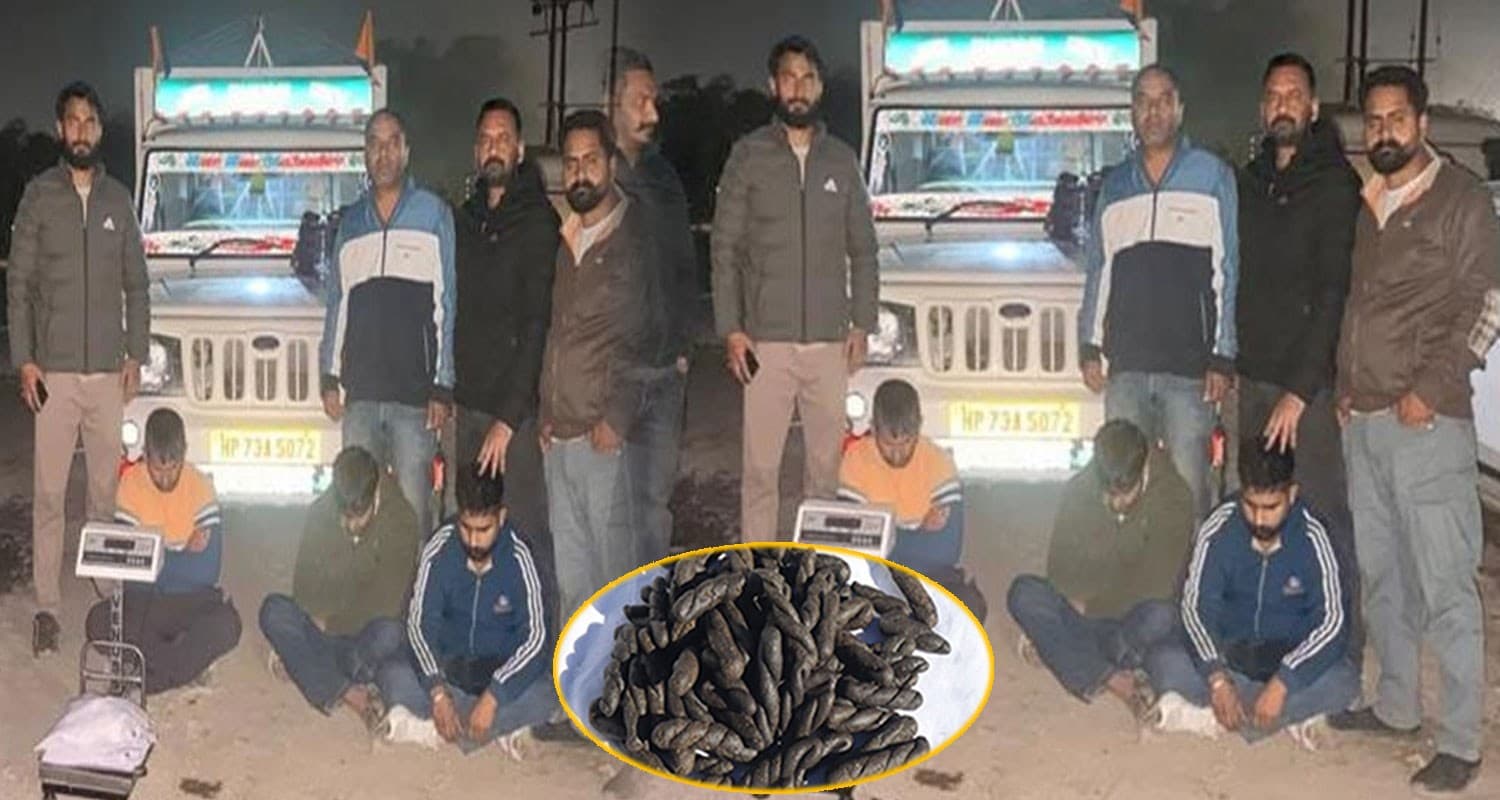 THREE CHARAS SMUGGLERS KANGRA POLICE PICKUP SMUGGLING HIMACHAL