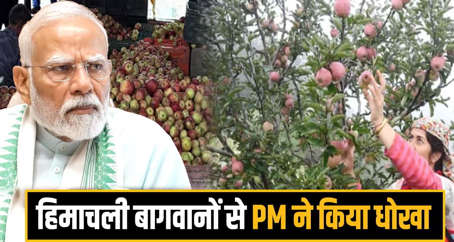 PM Modi Apple Gardner