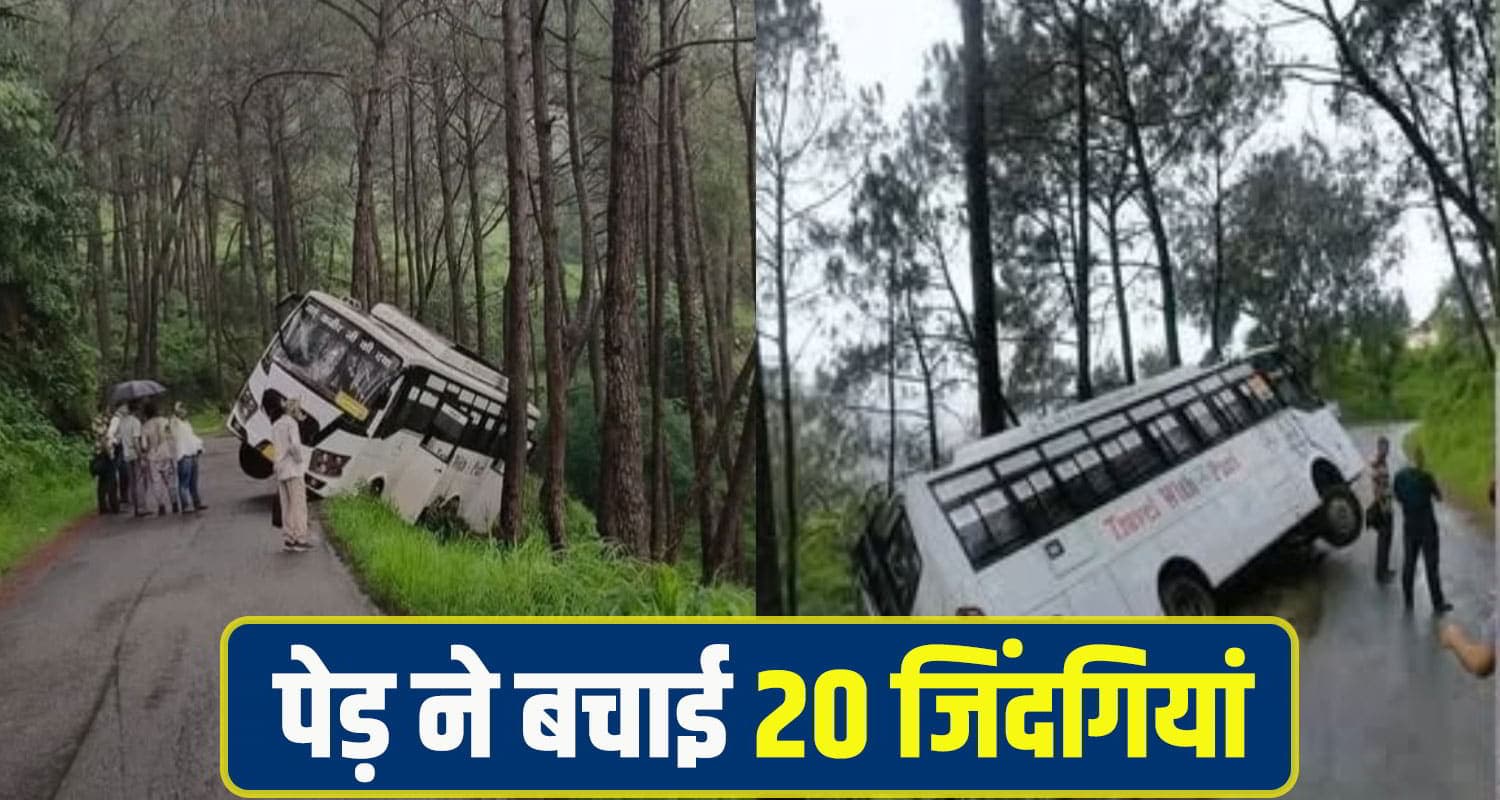 पेड़ ने बचाई 20 जिंदगियां