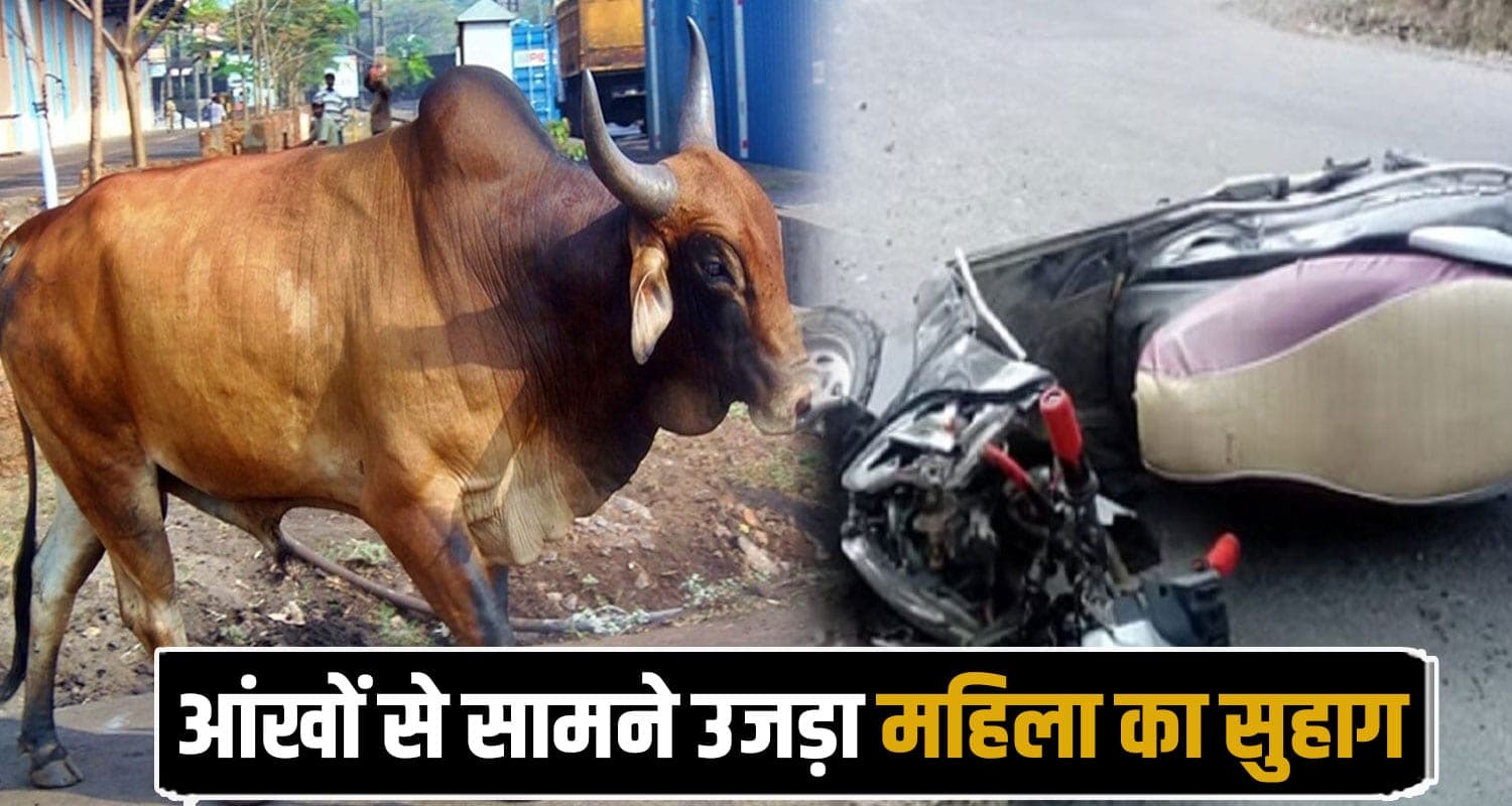 Mandi News