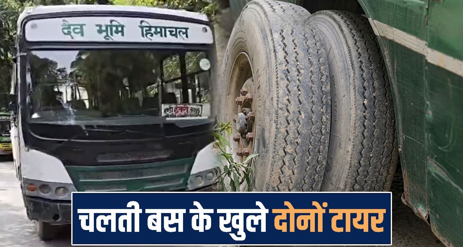 Mandi News
