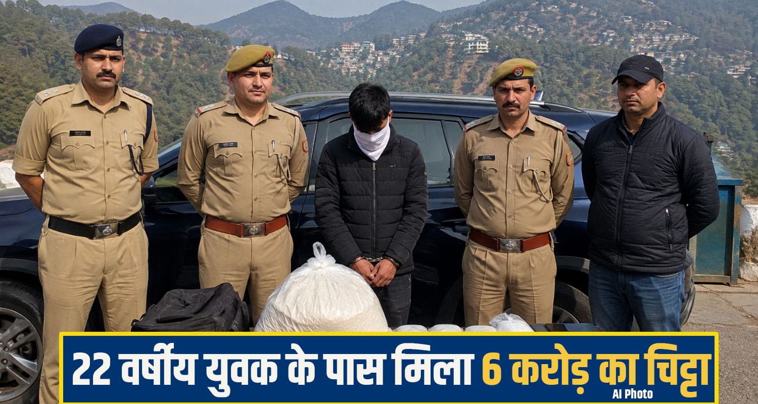 shimla chitta News