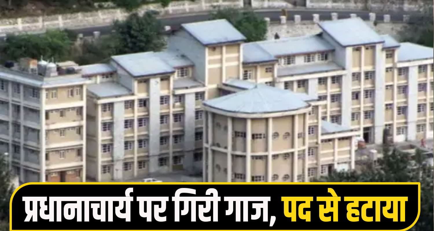 shimla nursing news