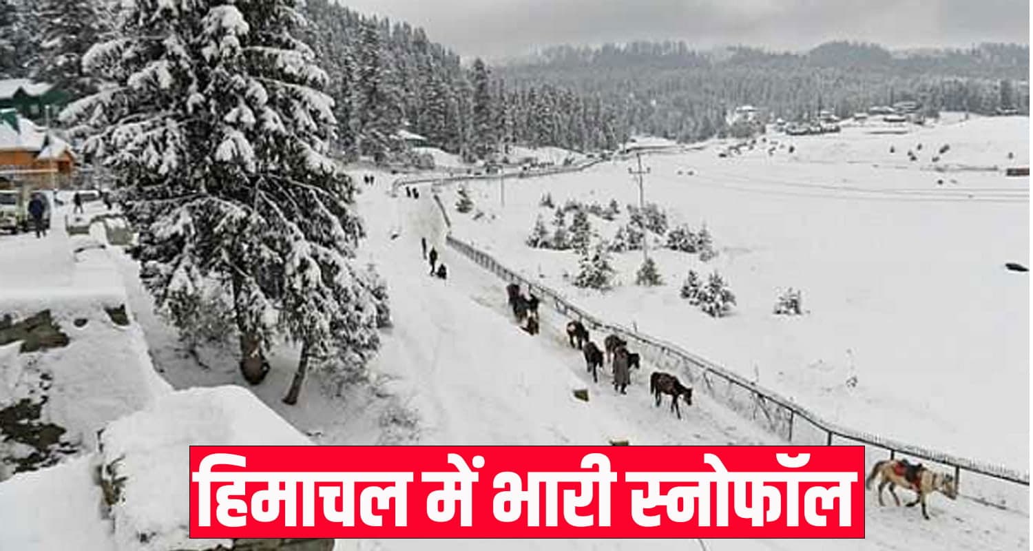 himachal news