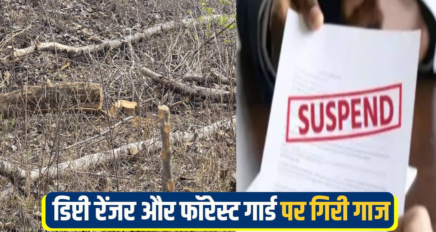 Una Khair Tree Cutting