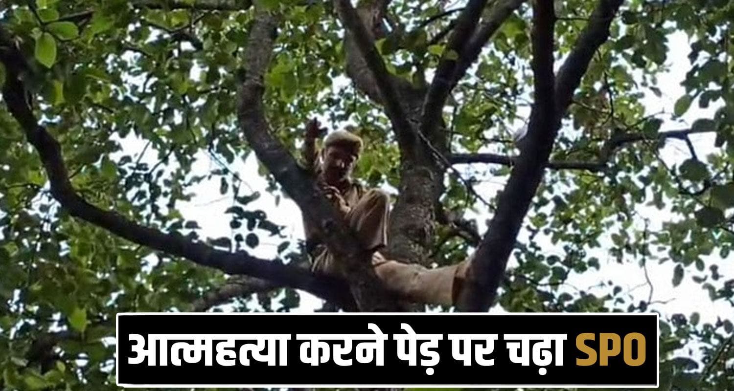 SPO Jammu