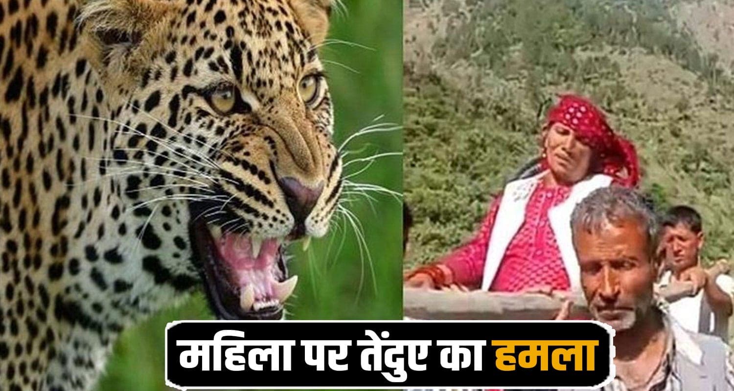 Mandi News