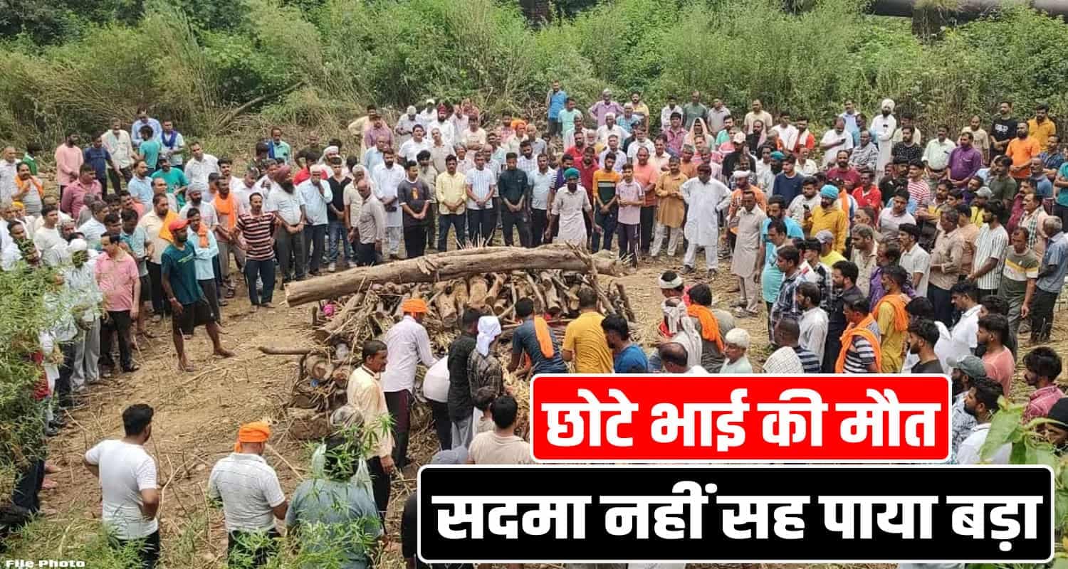 Solan News