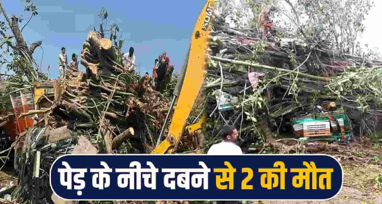 HIMACHAL NEWS KANGRA 