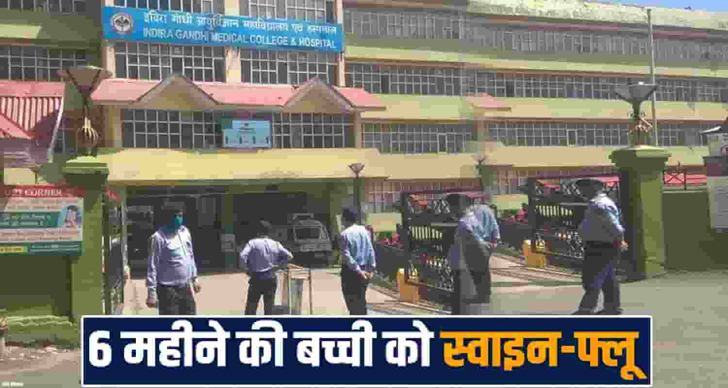 swine flu h1n1 case igmc shimla symptoms prevention viral infection himachal