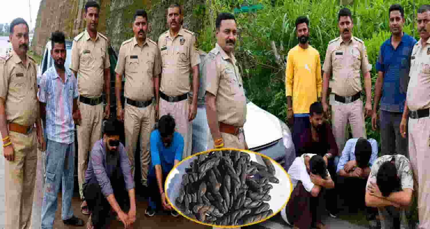 mandi-sundernagar-police-seize-charas-six-accused-arrested-in-two-separate-cases
