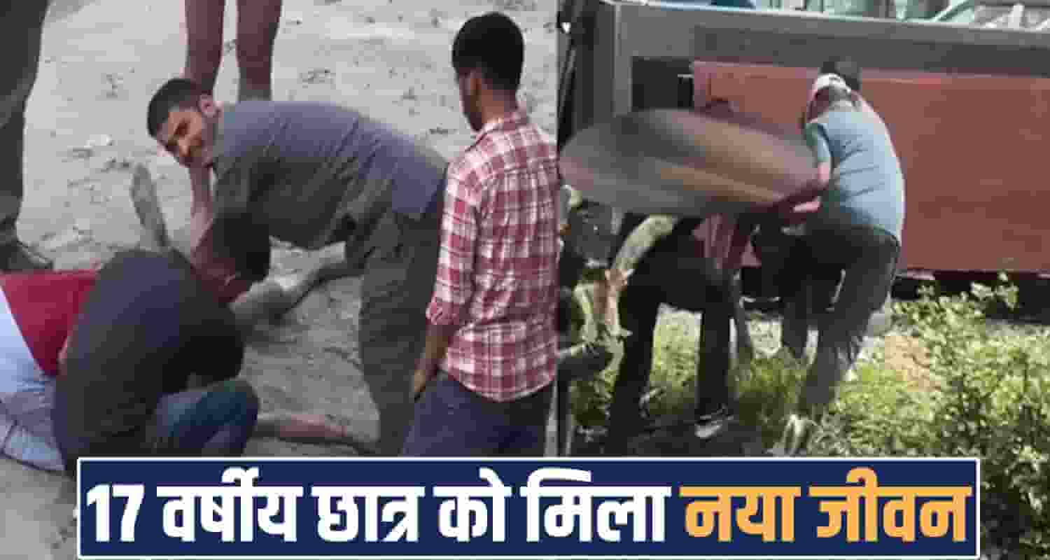 MANDI NEWS