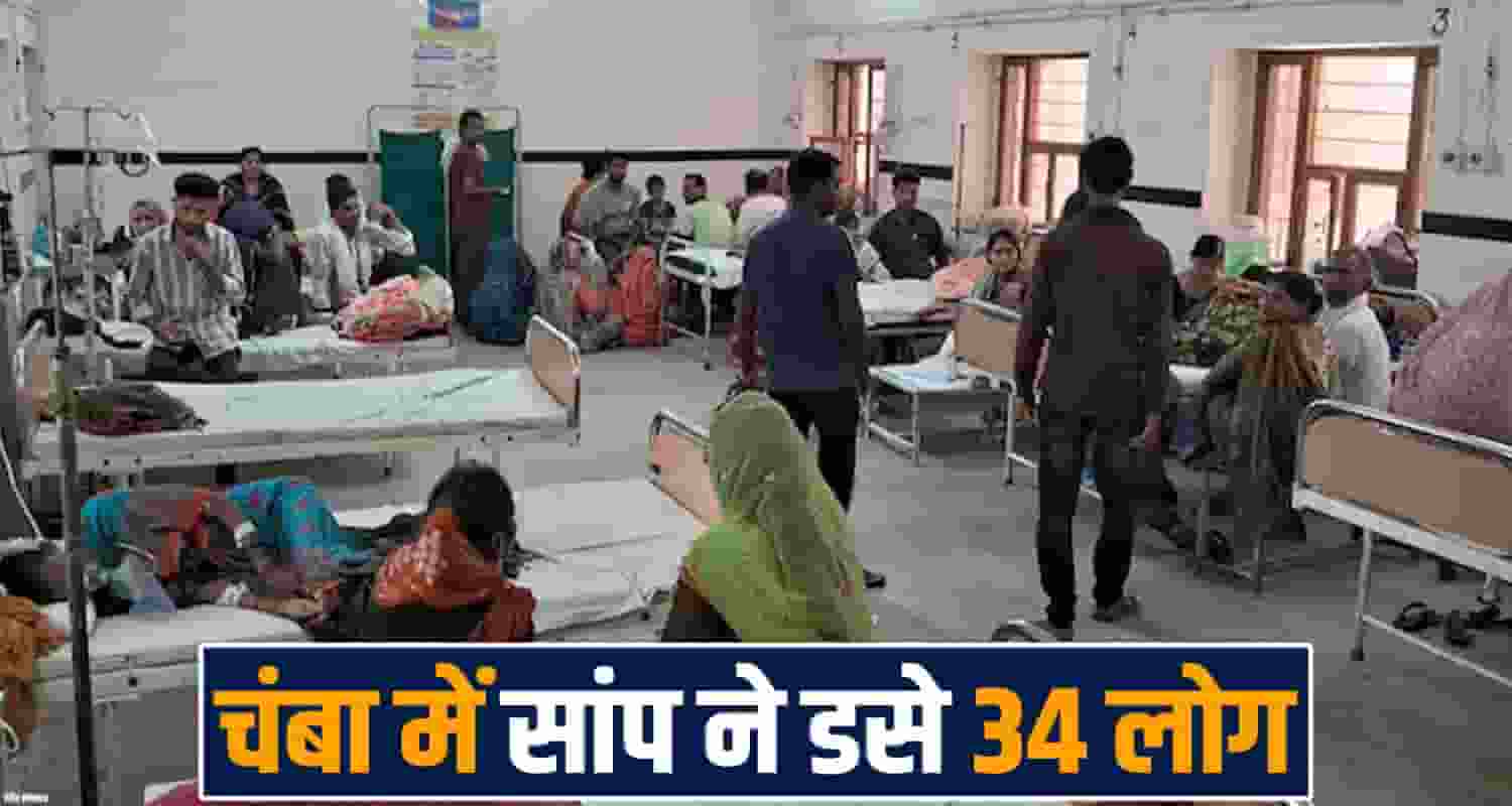 chamba-snake-cases-34-people-hospital-treatment-himachal-monsoon