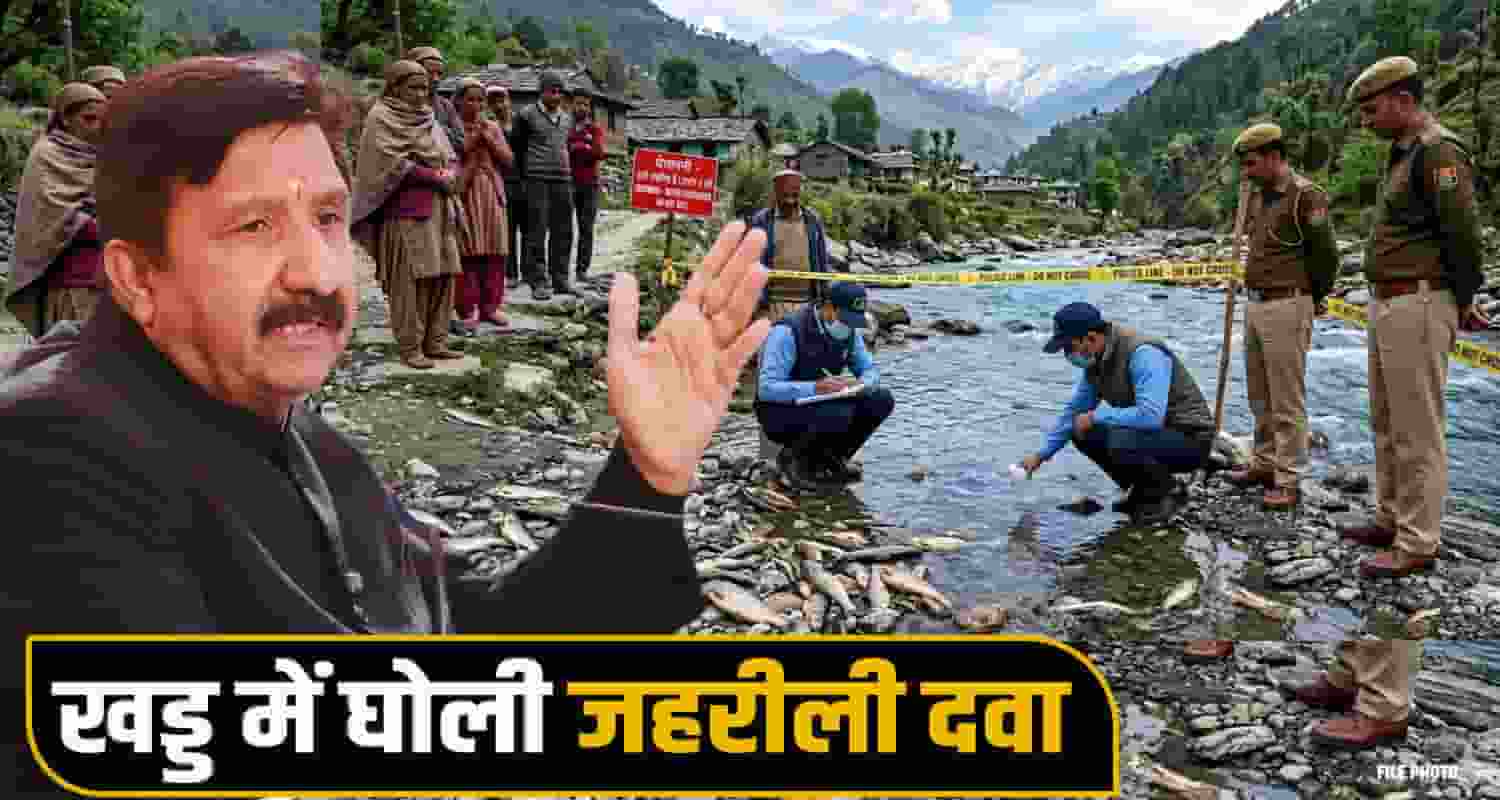 Ravine fishes Water toxic substance kangra himachal government mukesh agnihotri