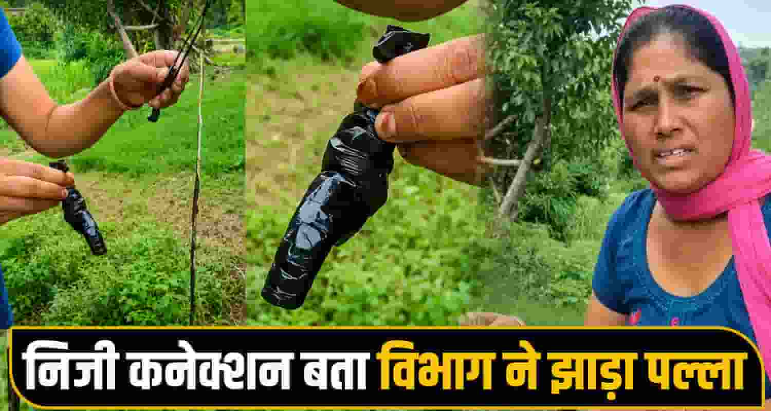 snake frog found drinking water pipeline himachal una jal shakti department negligence