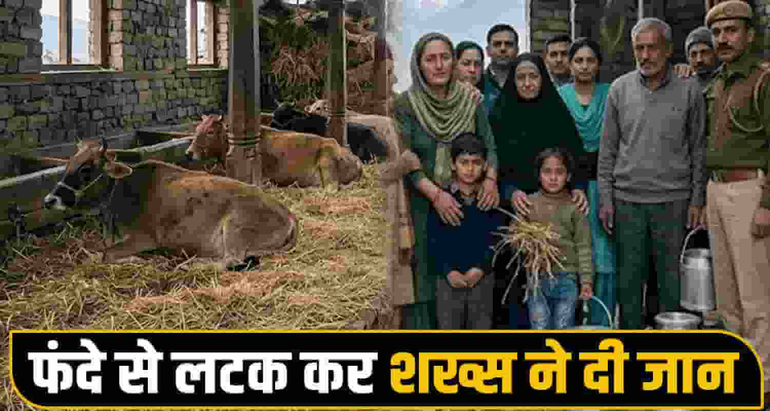Himachal Pradesh shimla news 