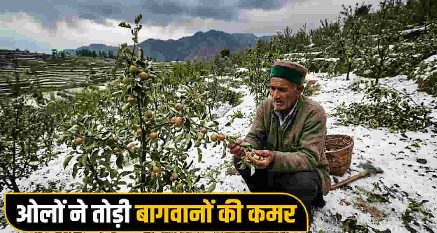 Himachal Weather Alert