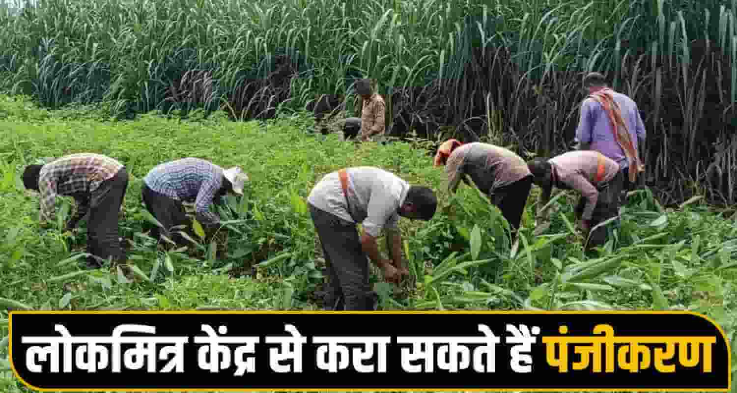 Farmer ID Agriculture Horticulture