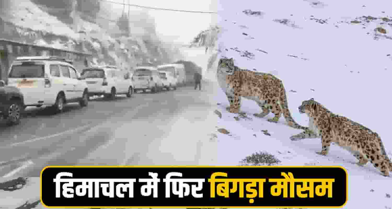 Himachal Weather
