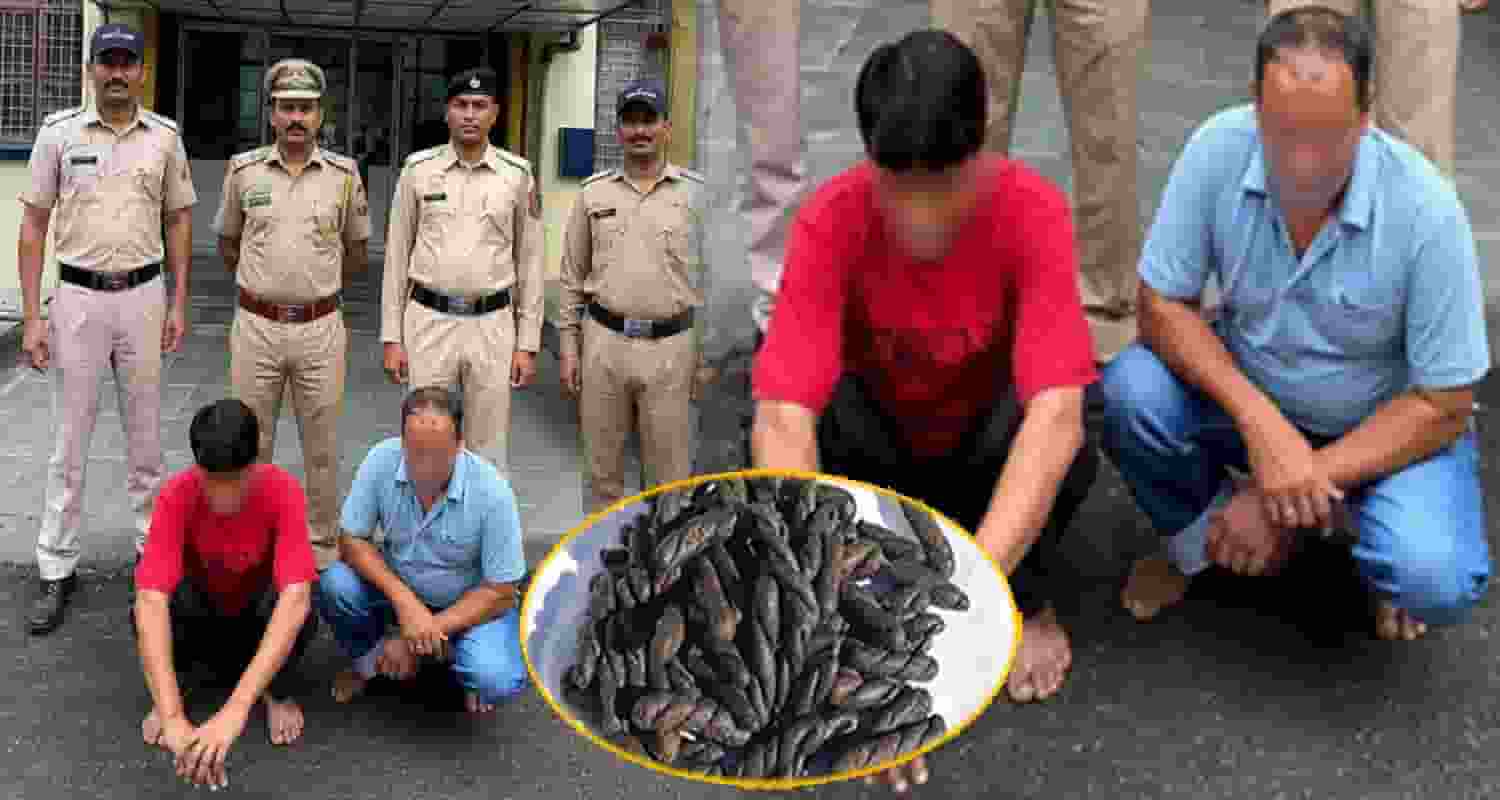 charas smuggler two men volvo bus mandi himachal police