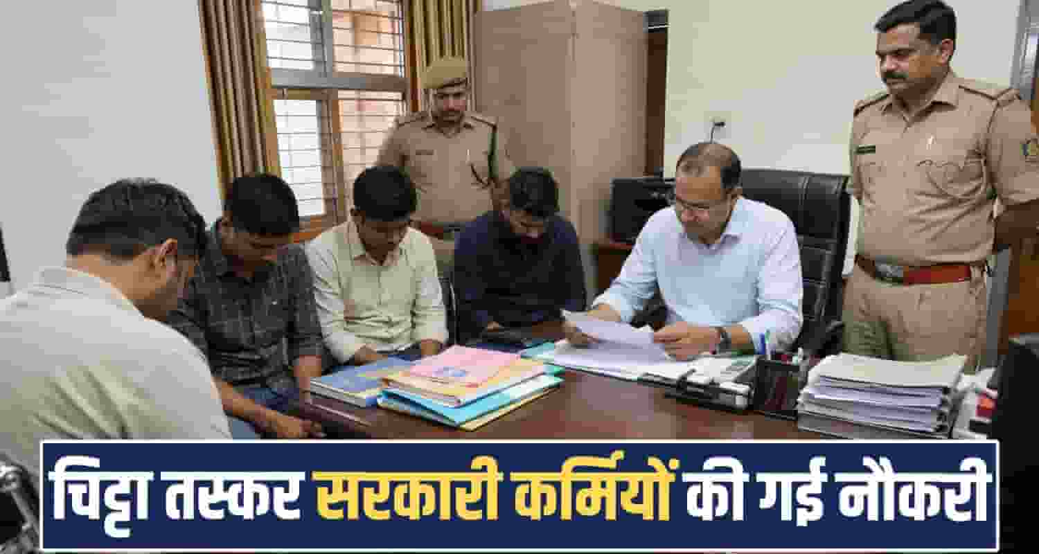 himachal-electricity-board-dismisses-three-employees-in-chitta-drug-cases